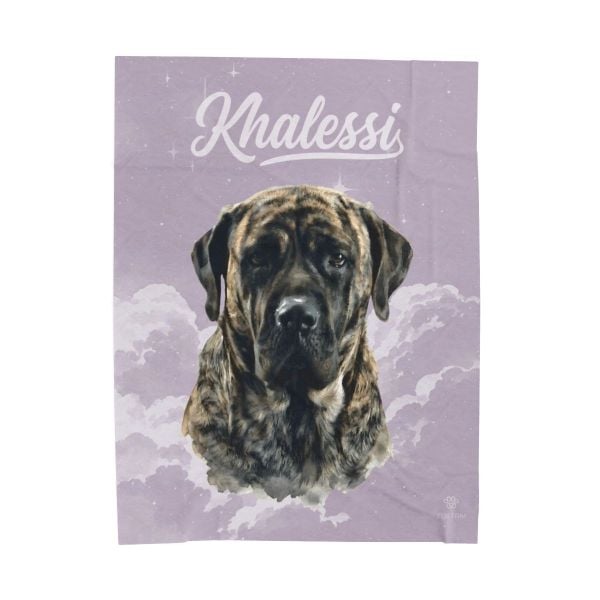 A customer's custom pet blanket